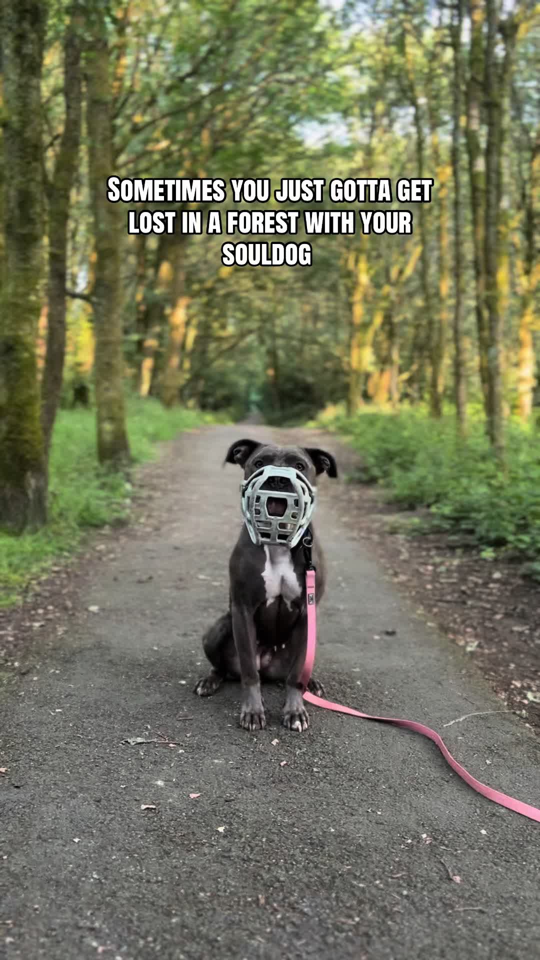 @Amy, Narla & Mika🌷
