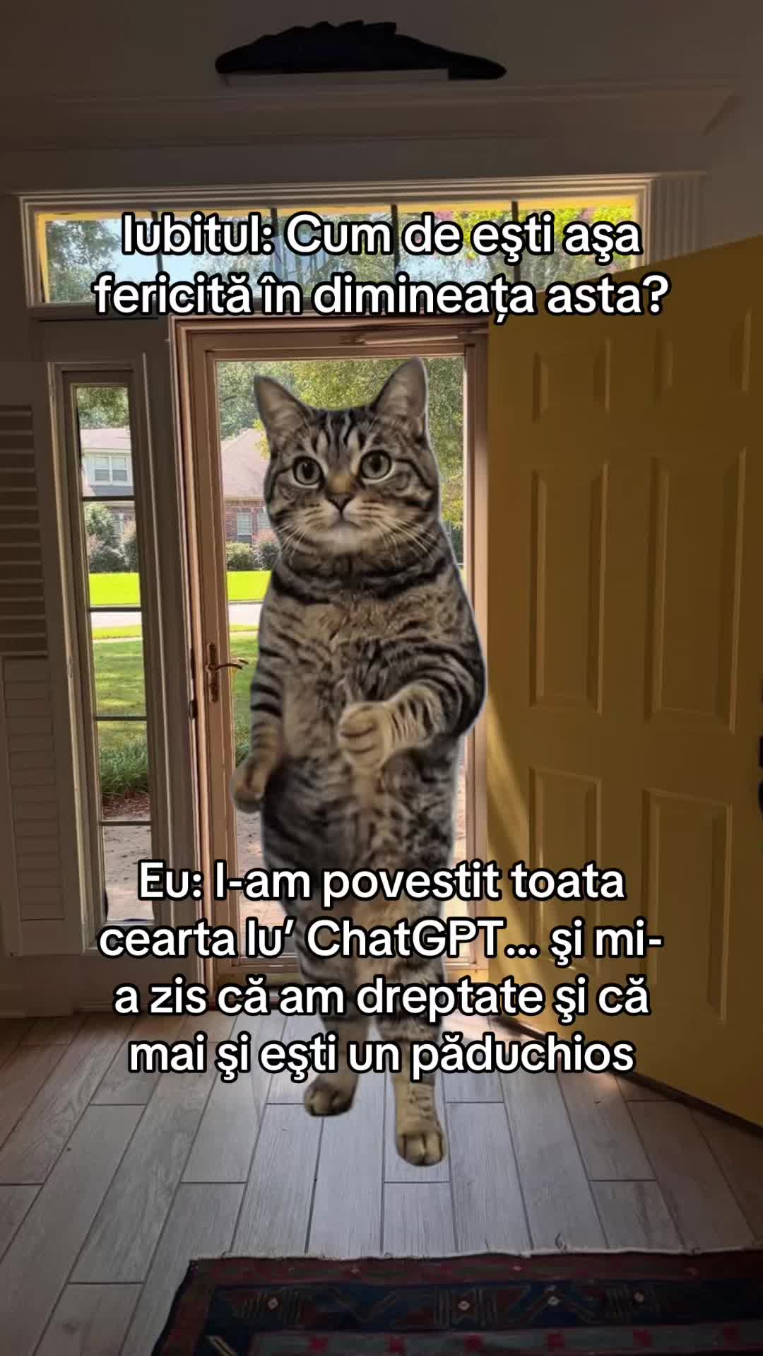 @fixpefilm