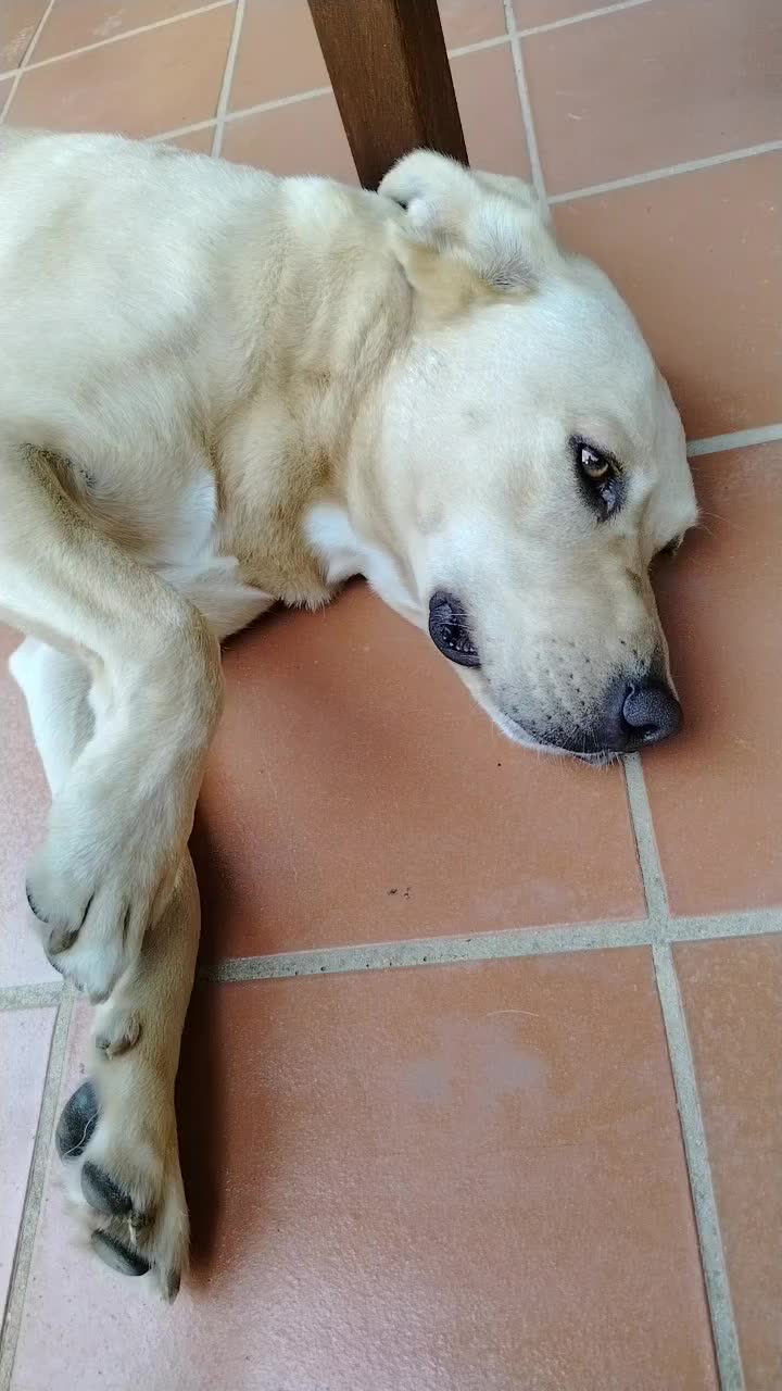 @Azzurra Ponziani