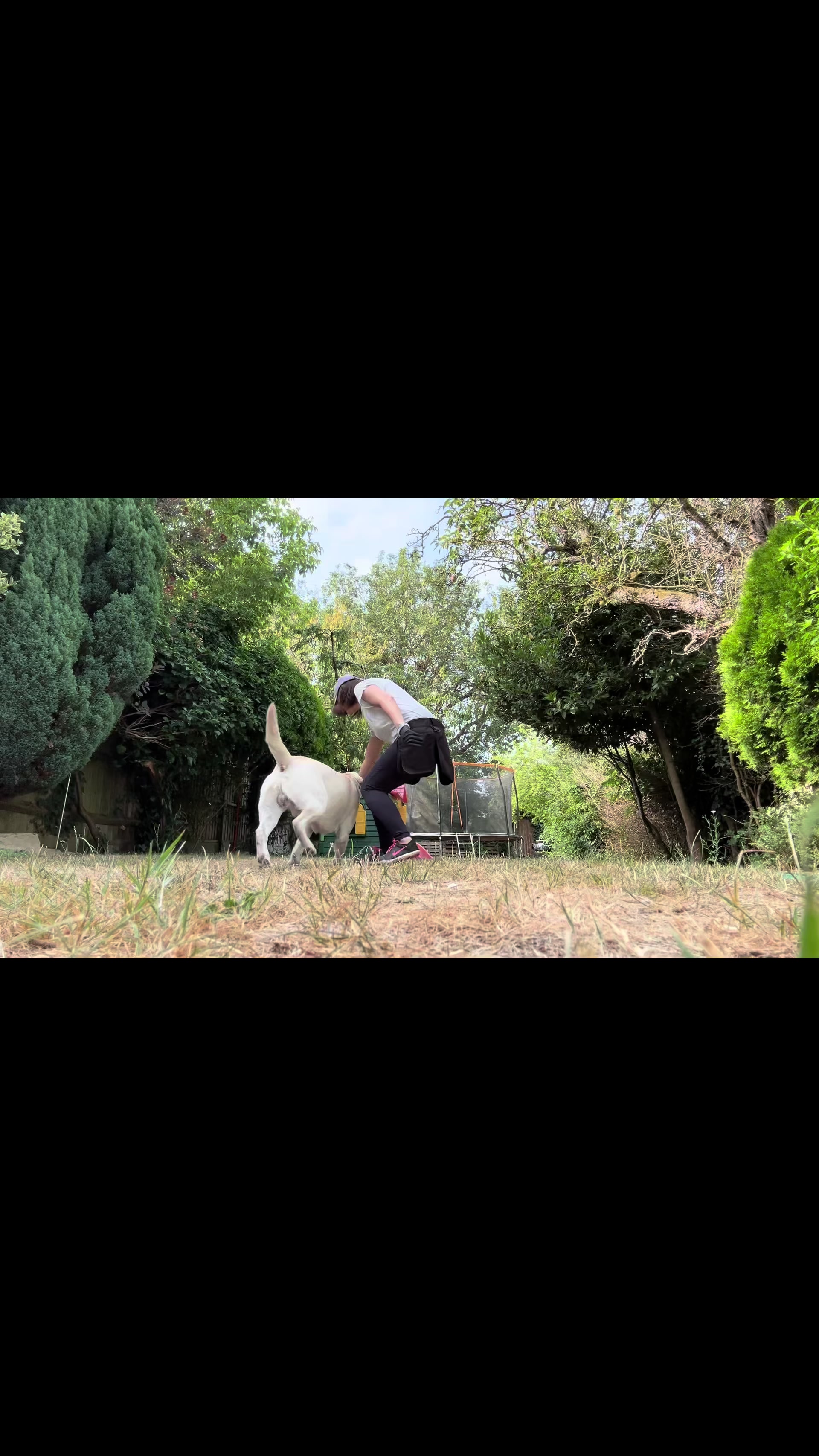 @Teddy 💕Charlie🐾💙
