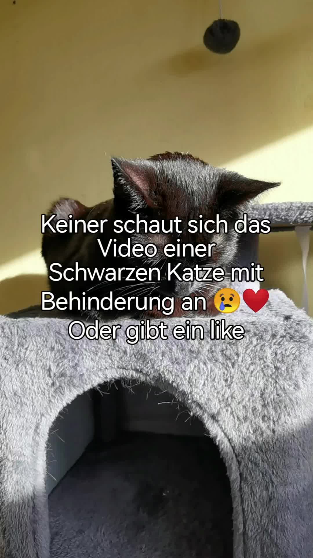 @juli🇩🇪🇺🇸🇷🇺