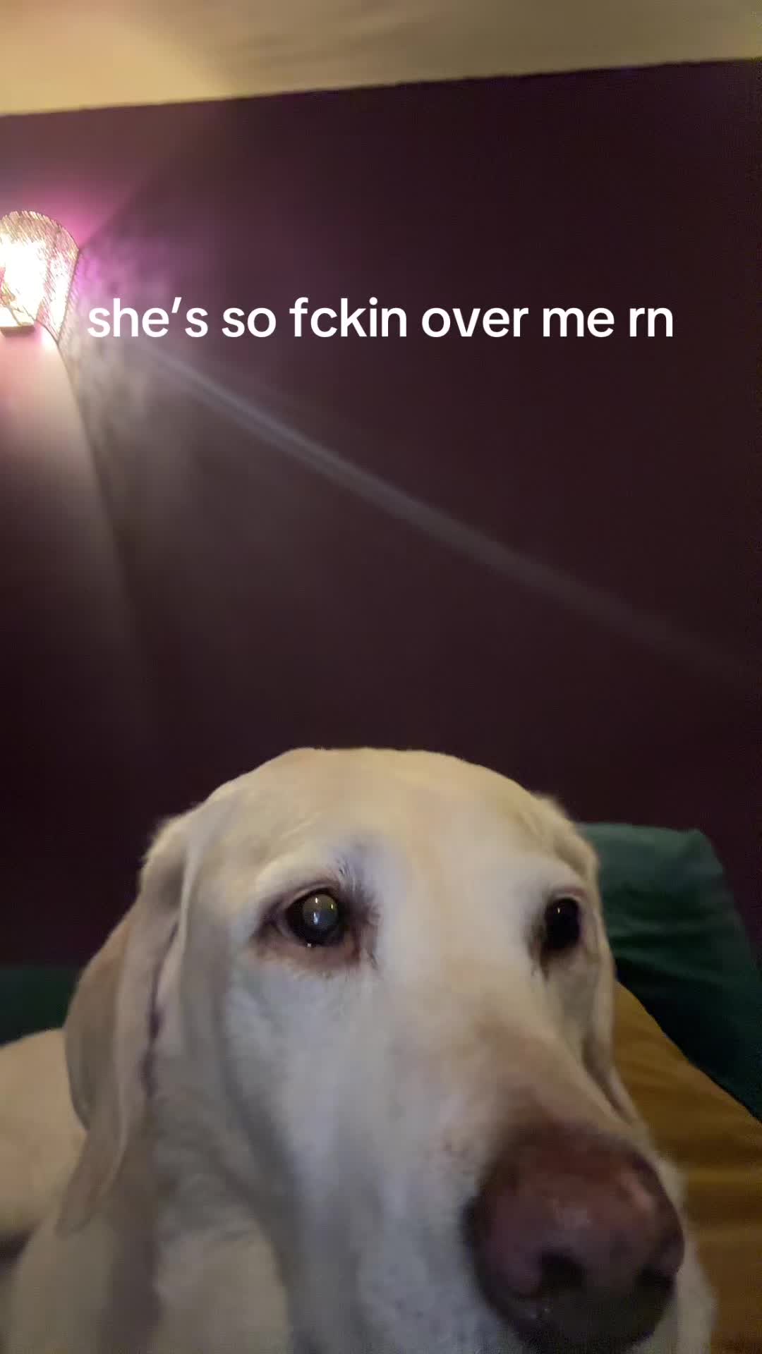 @lil⭐️