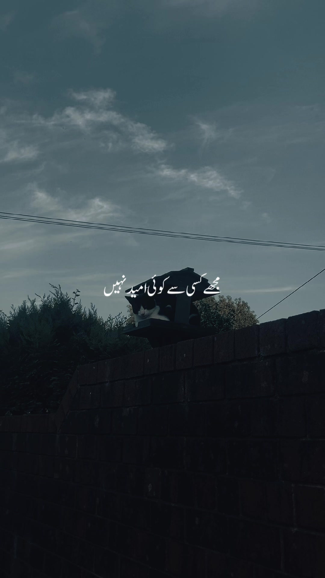 @꧁⪻❣️𝗞Ꮒᴧ𐌽ɨ❣️⪼꧂
