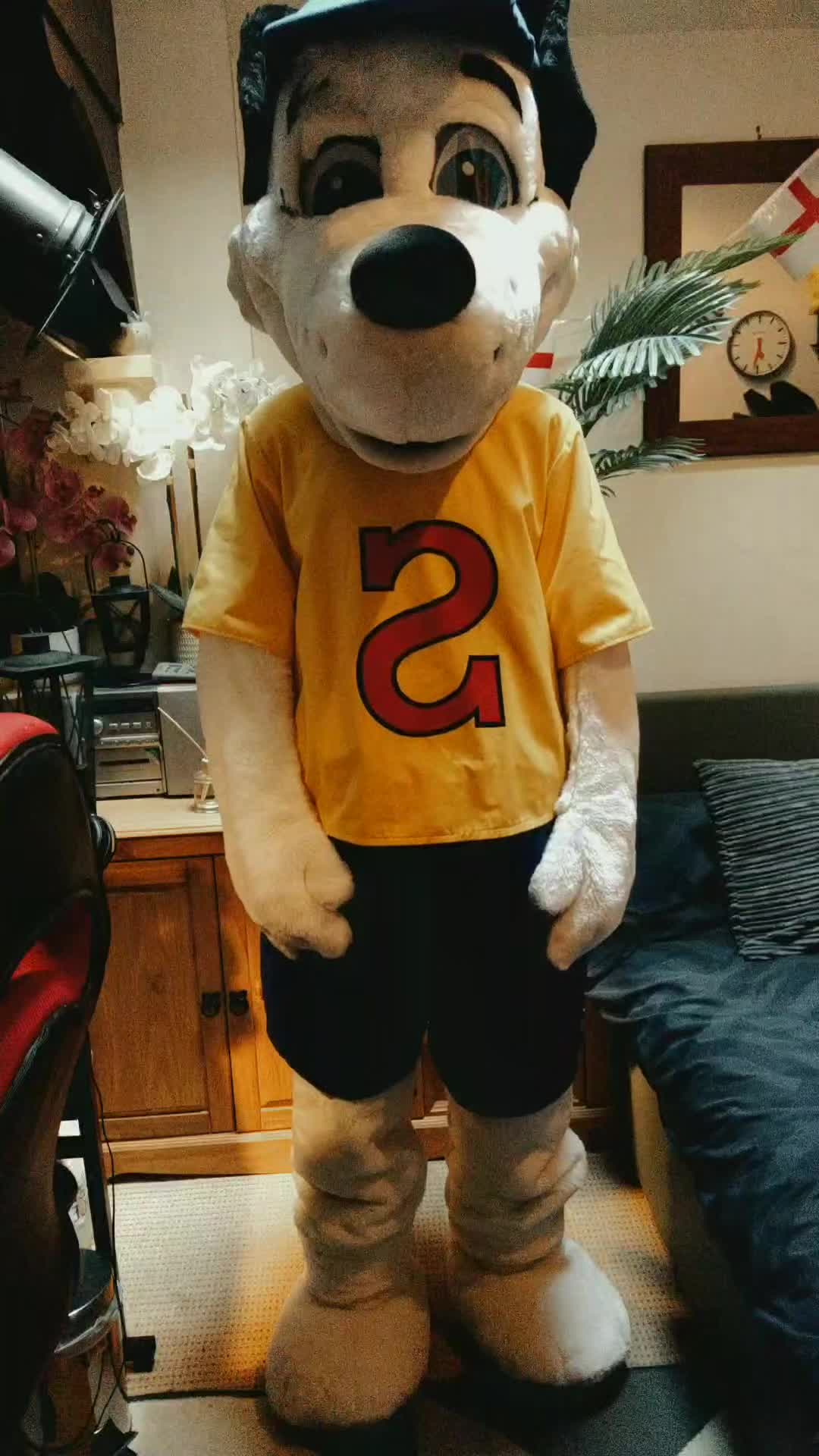 @Mascot Dan