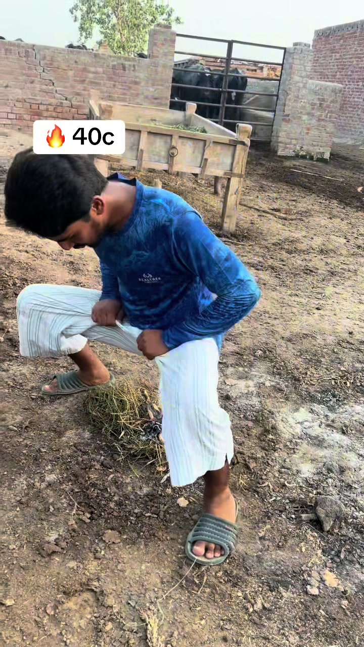 @پینڈو بوائز 378