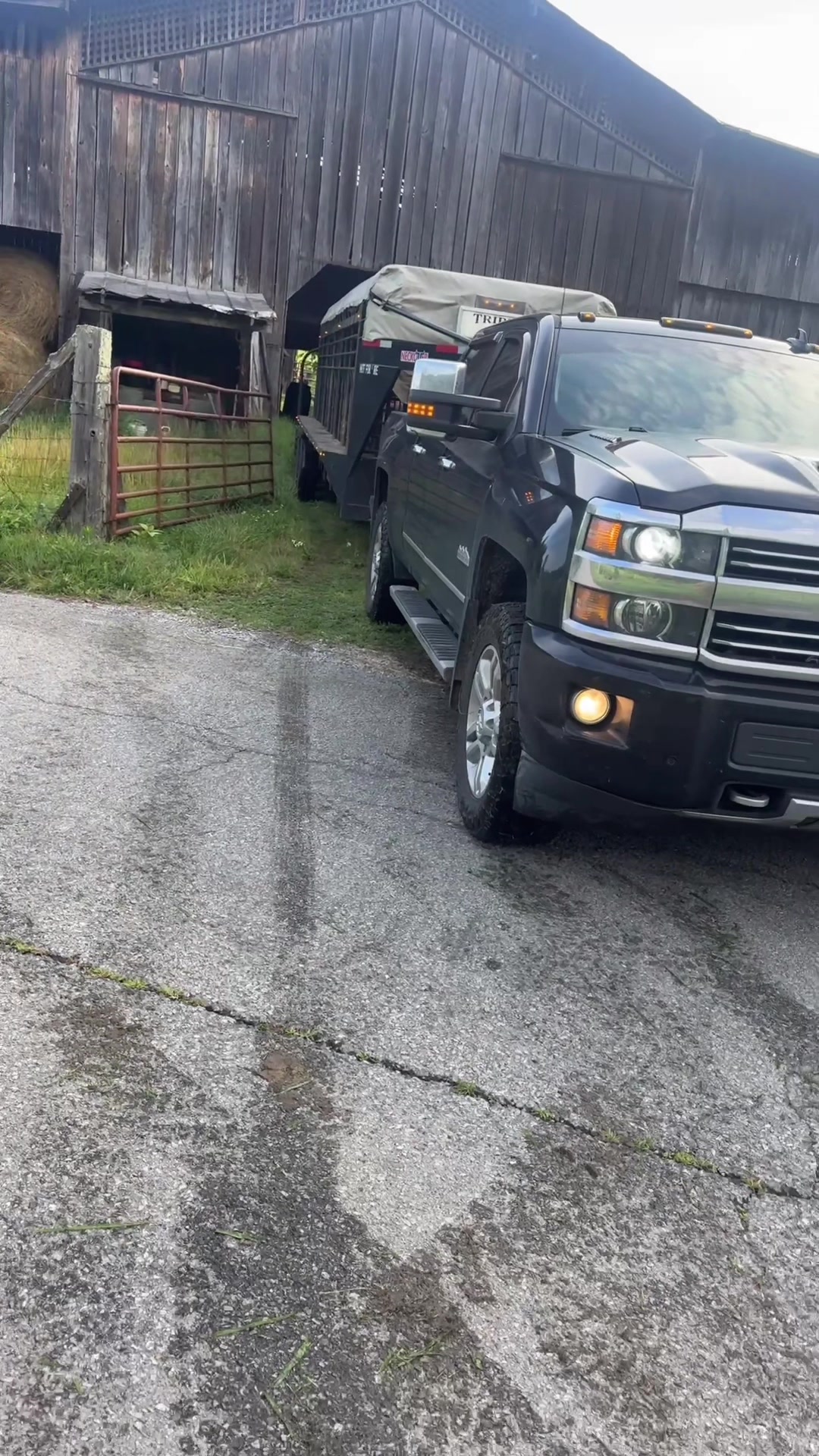 @tripleclivestock