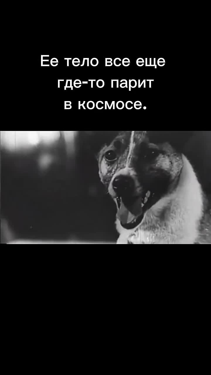 @CosmicZone
