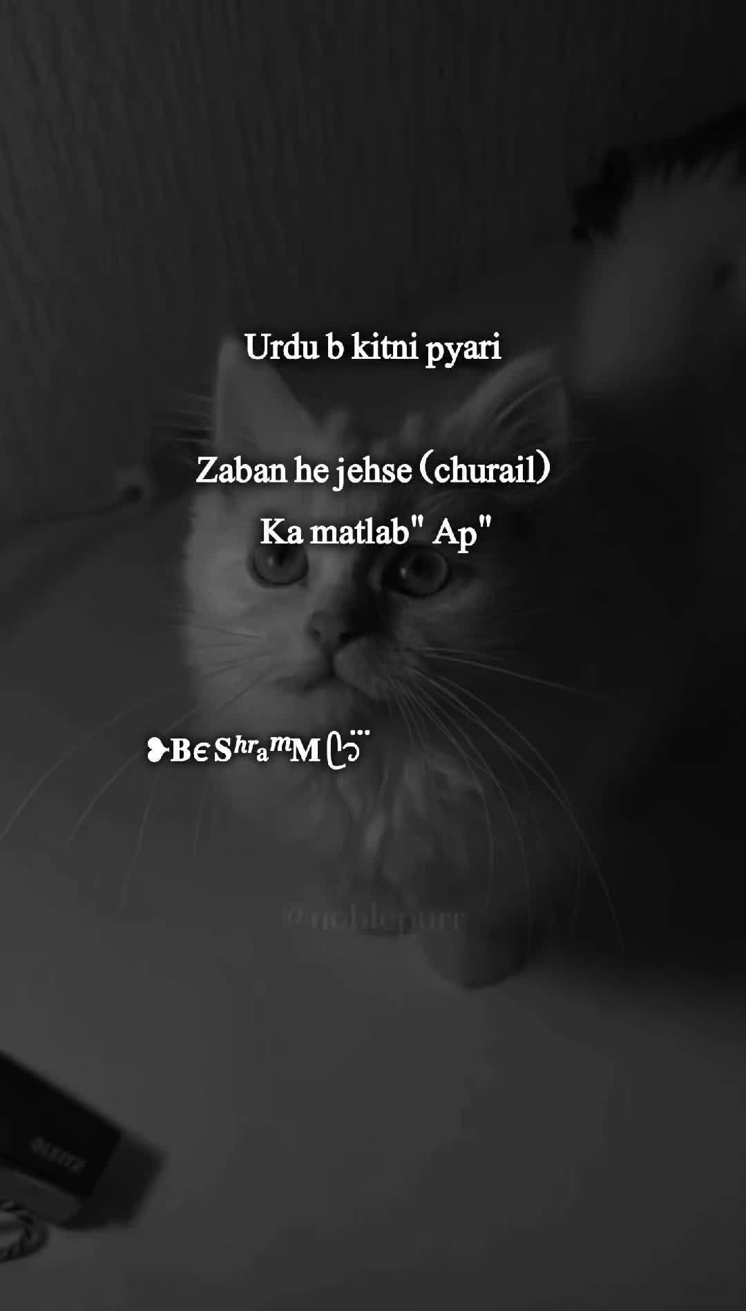 @❥𝐁є 𝐒ʰʳaᵐ𝐌 ᥫ᭡፝֟፝֟