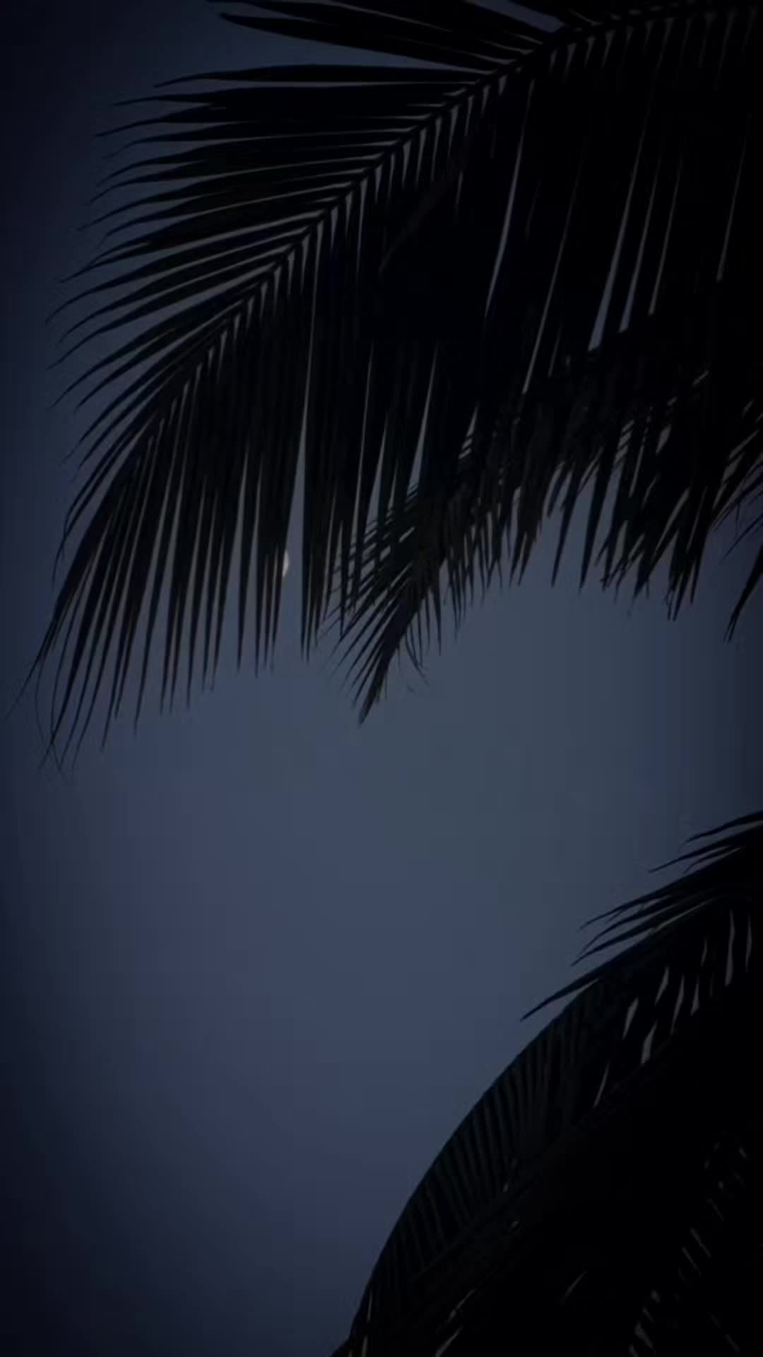 @𝗬𝗼𝘂𝗿𝘀.𝗯𝗮𝗯𝗲𝗿