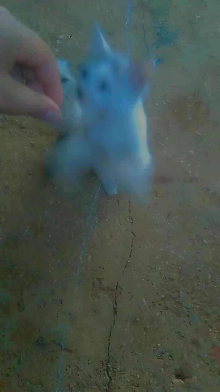 @عازفة الأمل