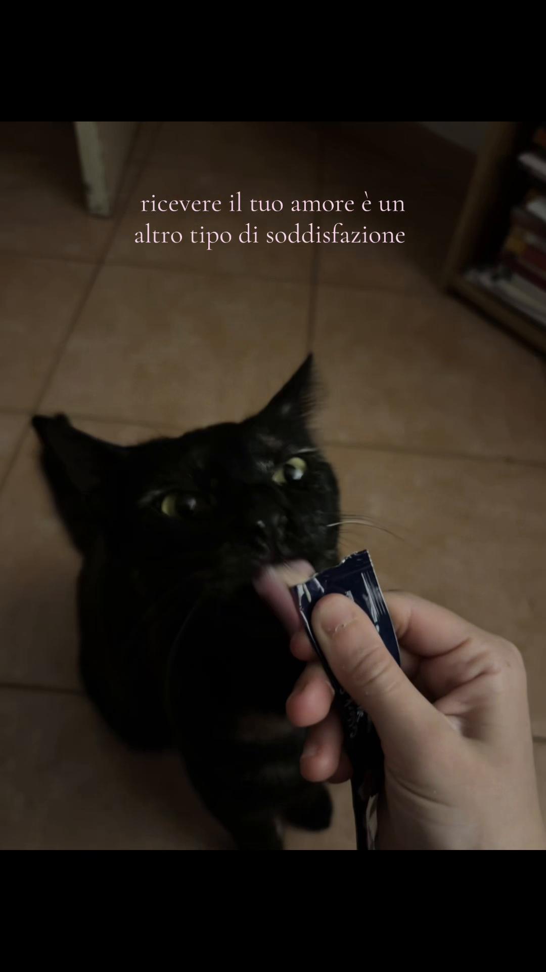 @𝓴𝓪𝓶𝓲𝓵𝓪