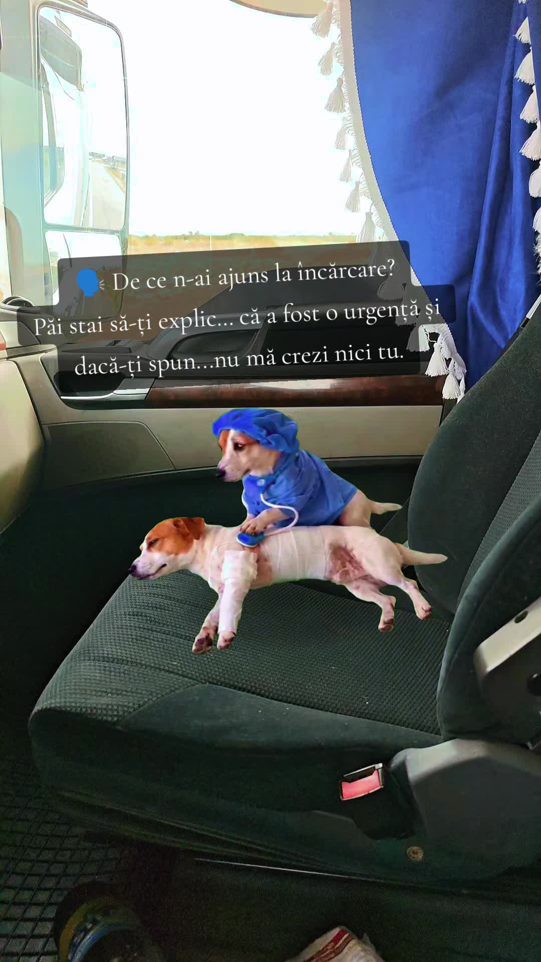 @✝︎Deiu99🚛