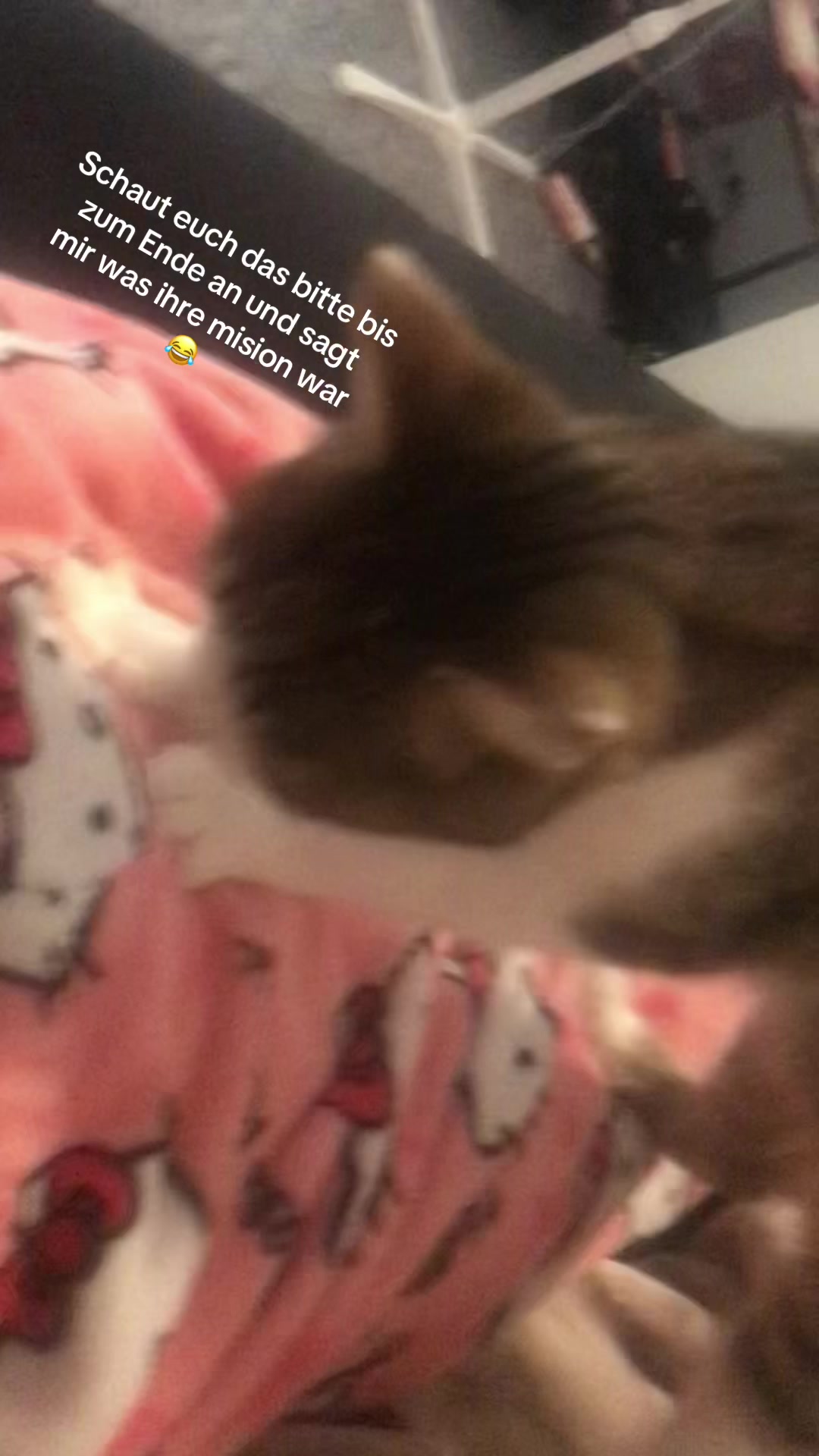 @🤲🏻❤️🌸