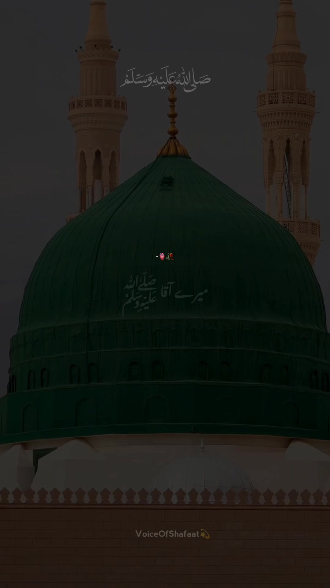 @VoiceOfShafaat💫
