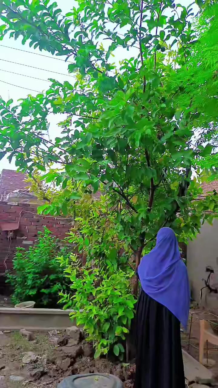 @🦋⃟🇲 ɑɧꀤ🦋⃟ ࿐
