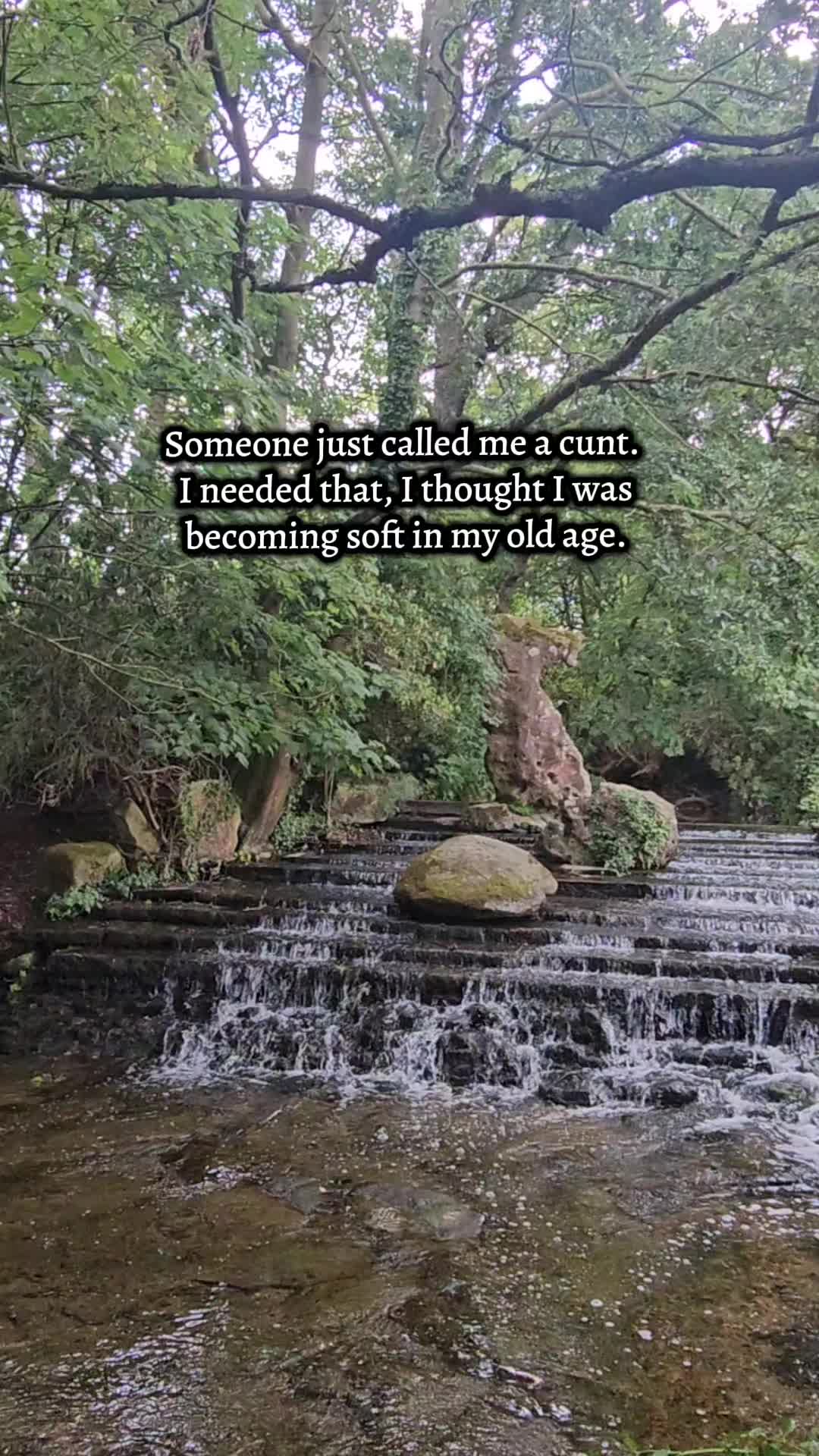 @modernwitchery444