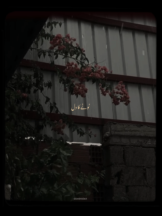 @ف🦋
