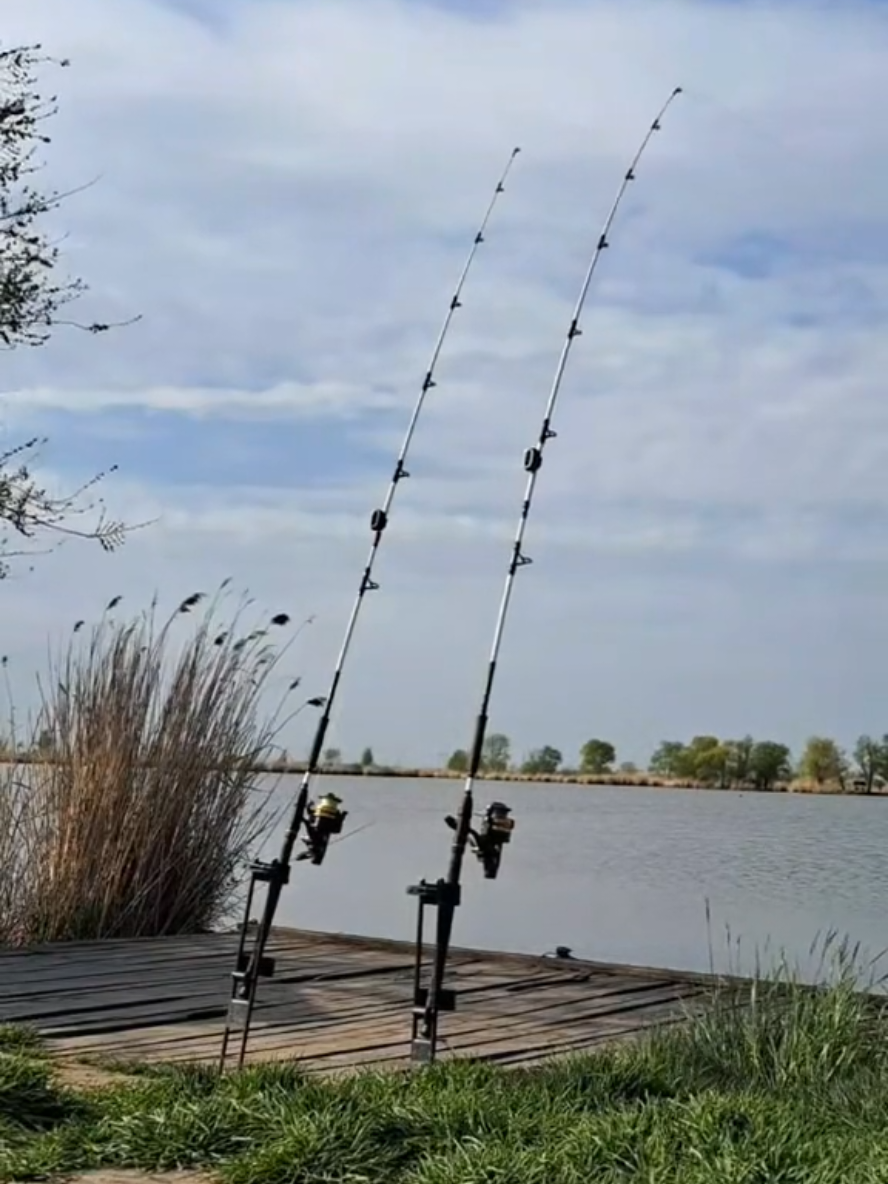 @Erika_fishing💚🖤
