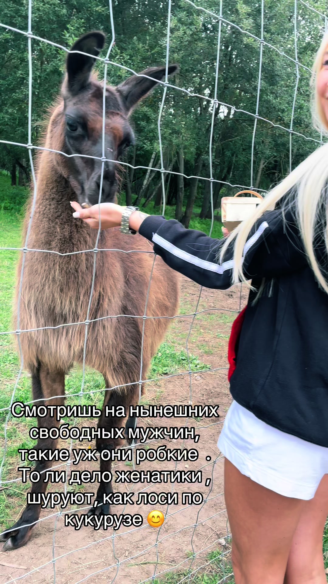 @Екатерина