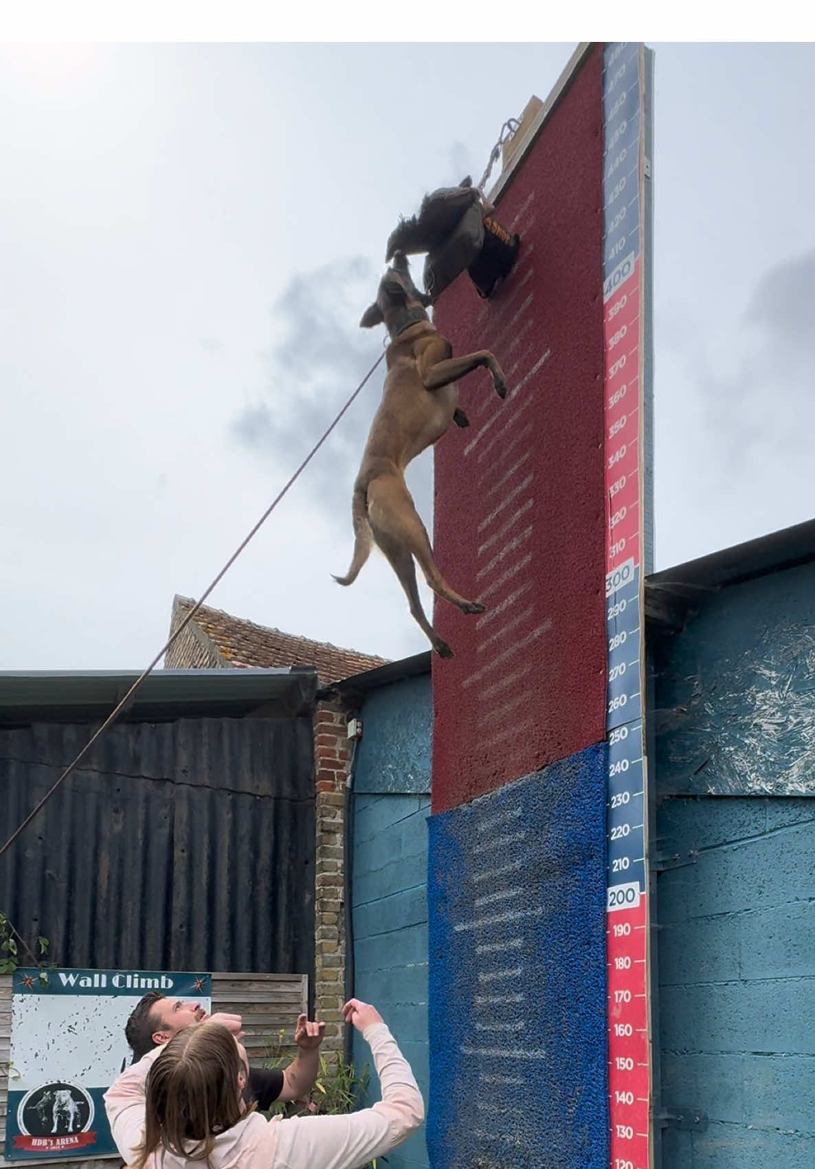 @Otha Malinois