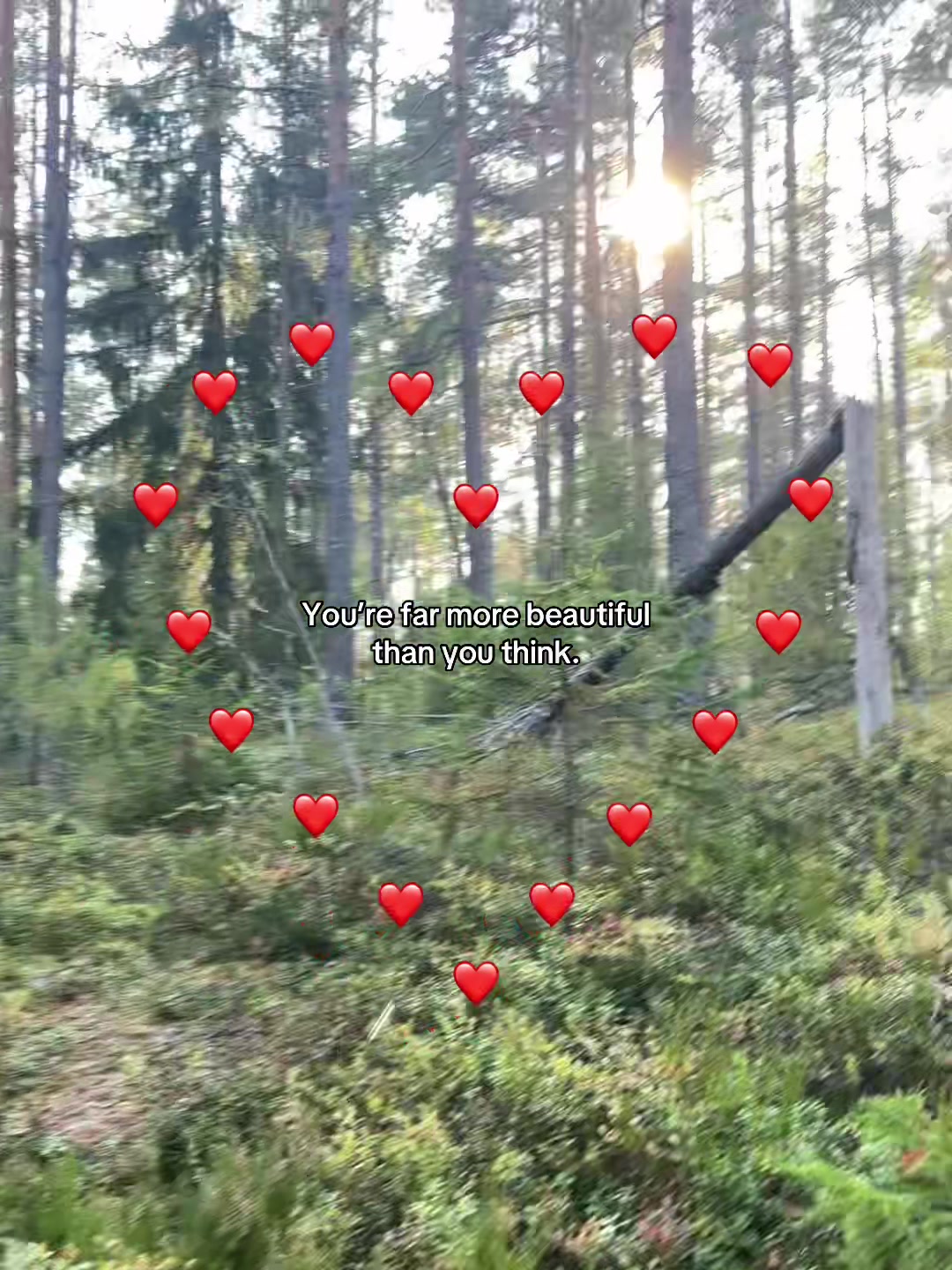 @QuoteInHearts