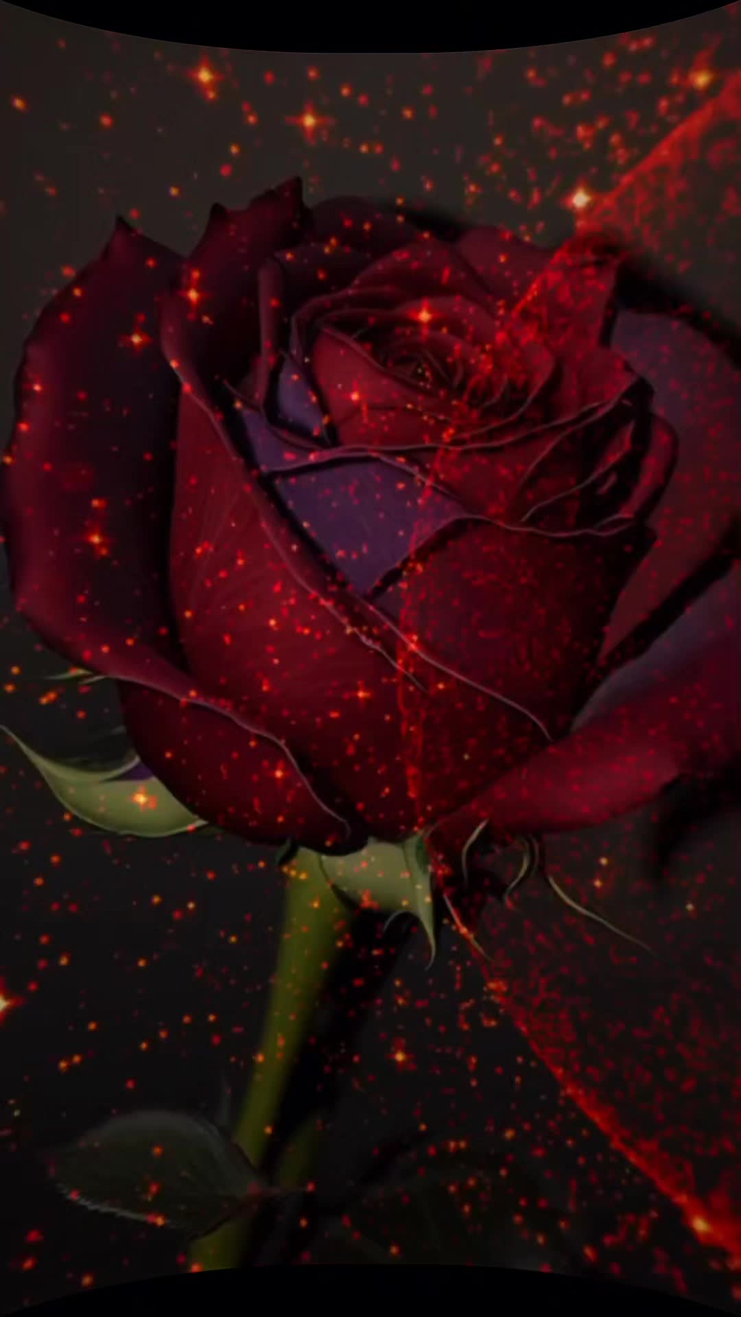@amaan1949