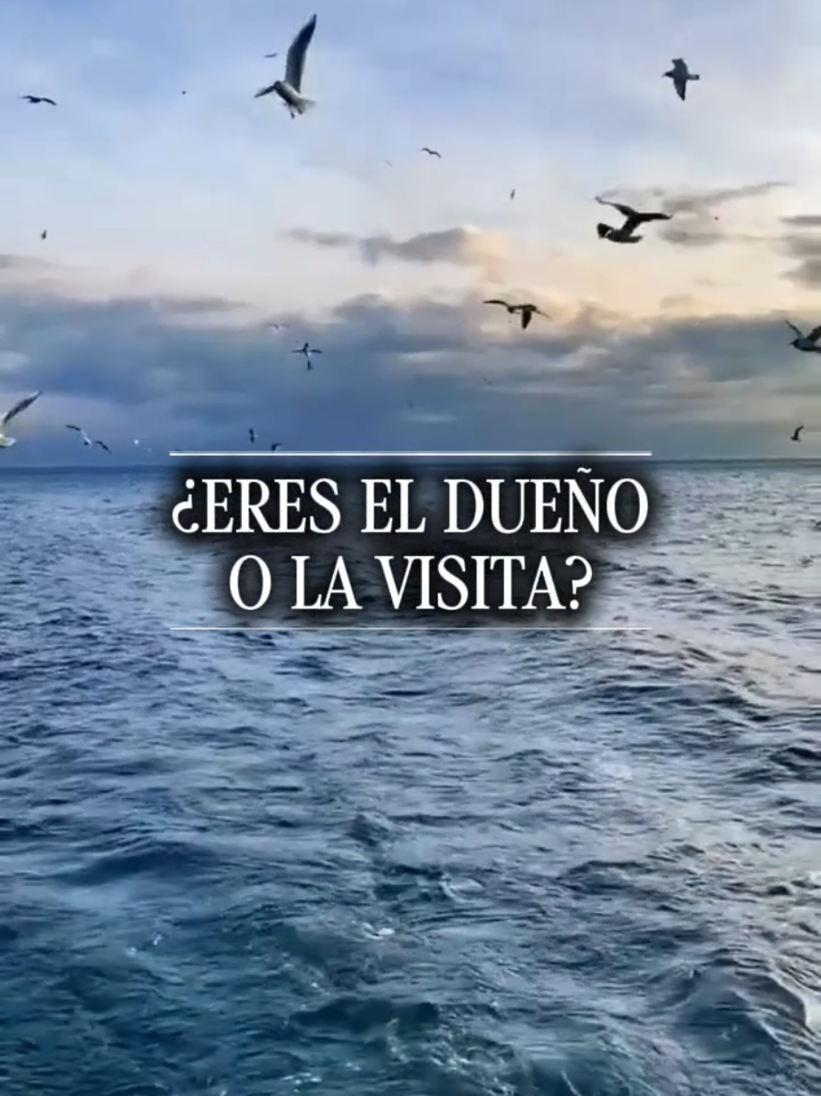 @NeniEmociones