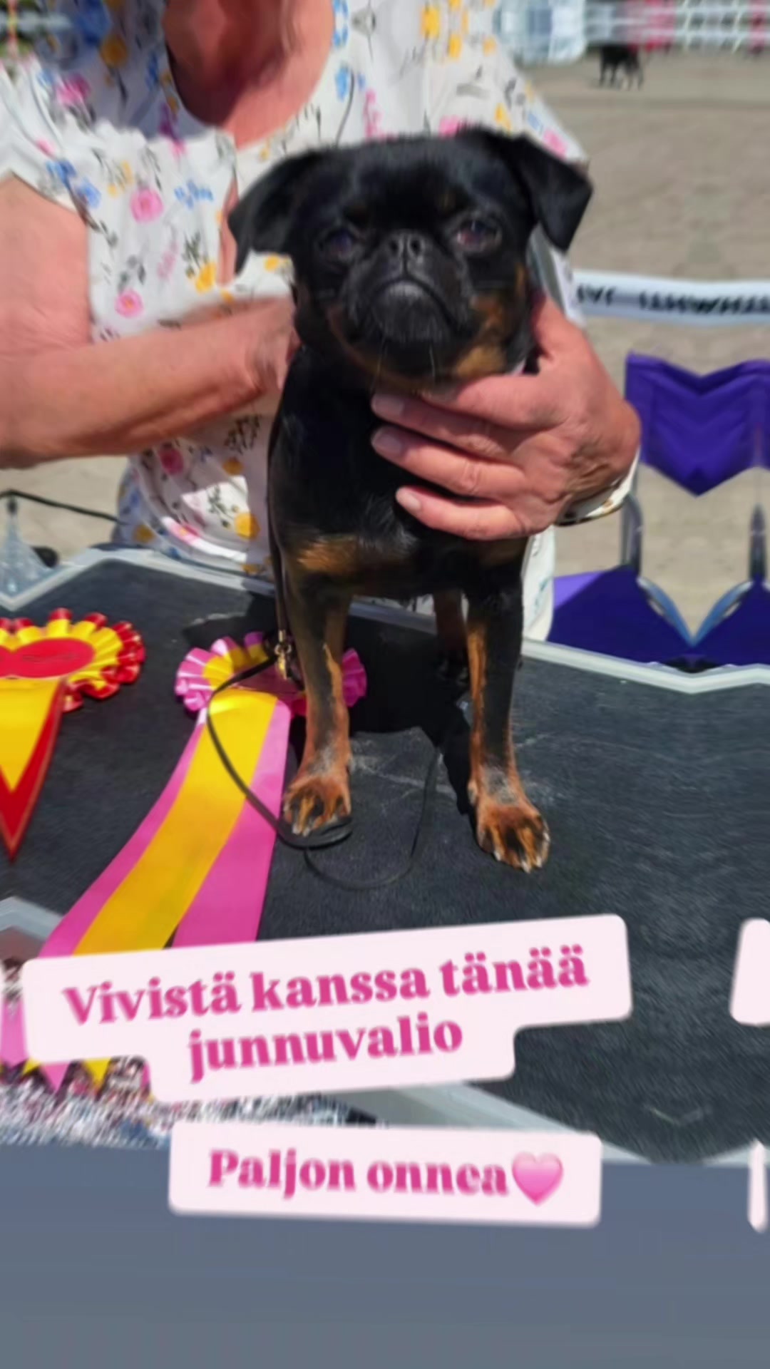 @Erja