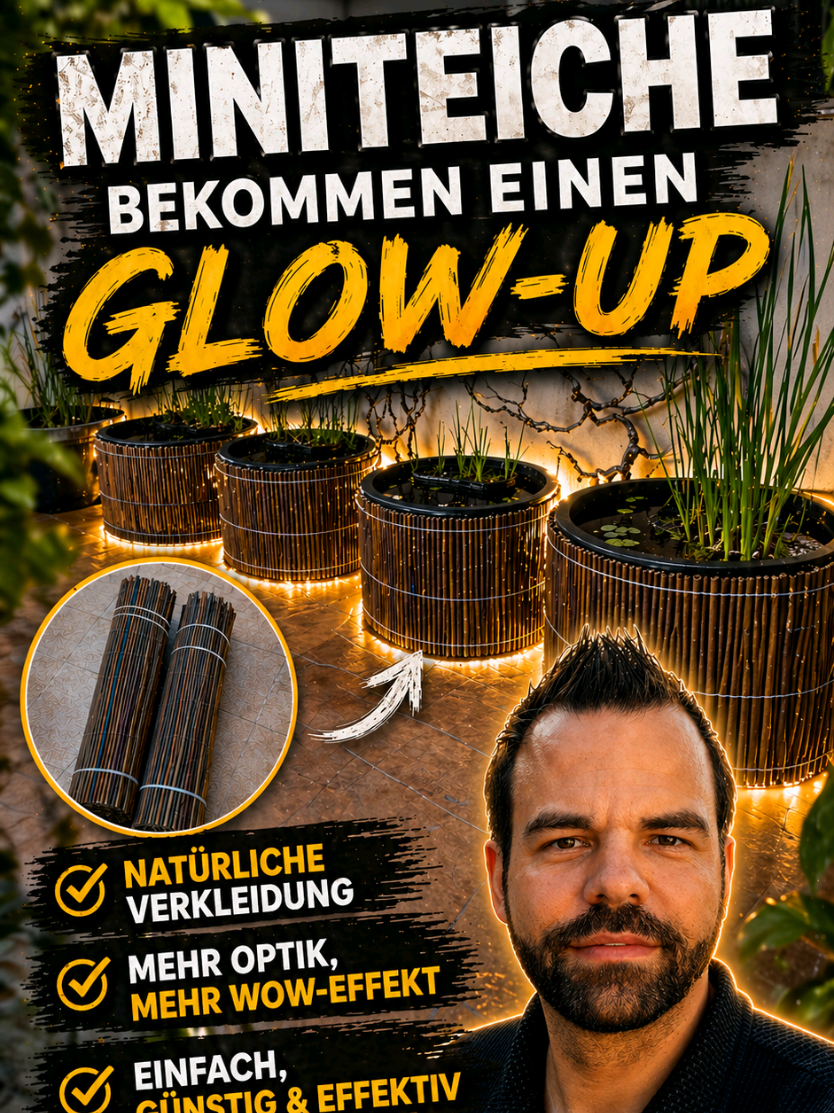 @Barschfan Aqualive