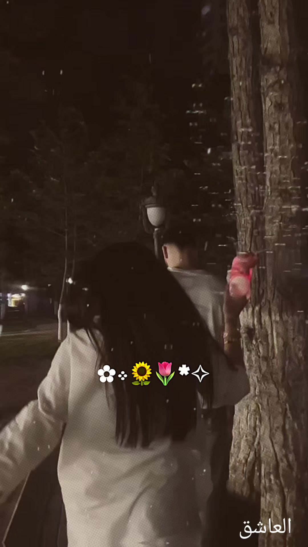 @𝒴 ᥫ᭡
