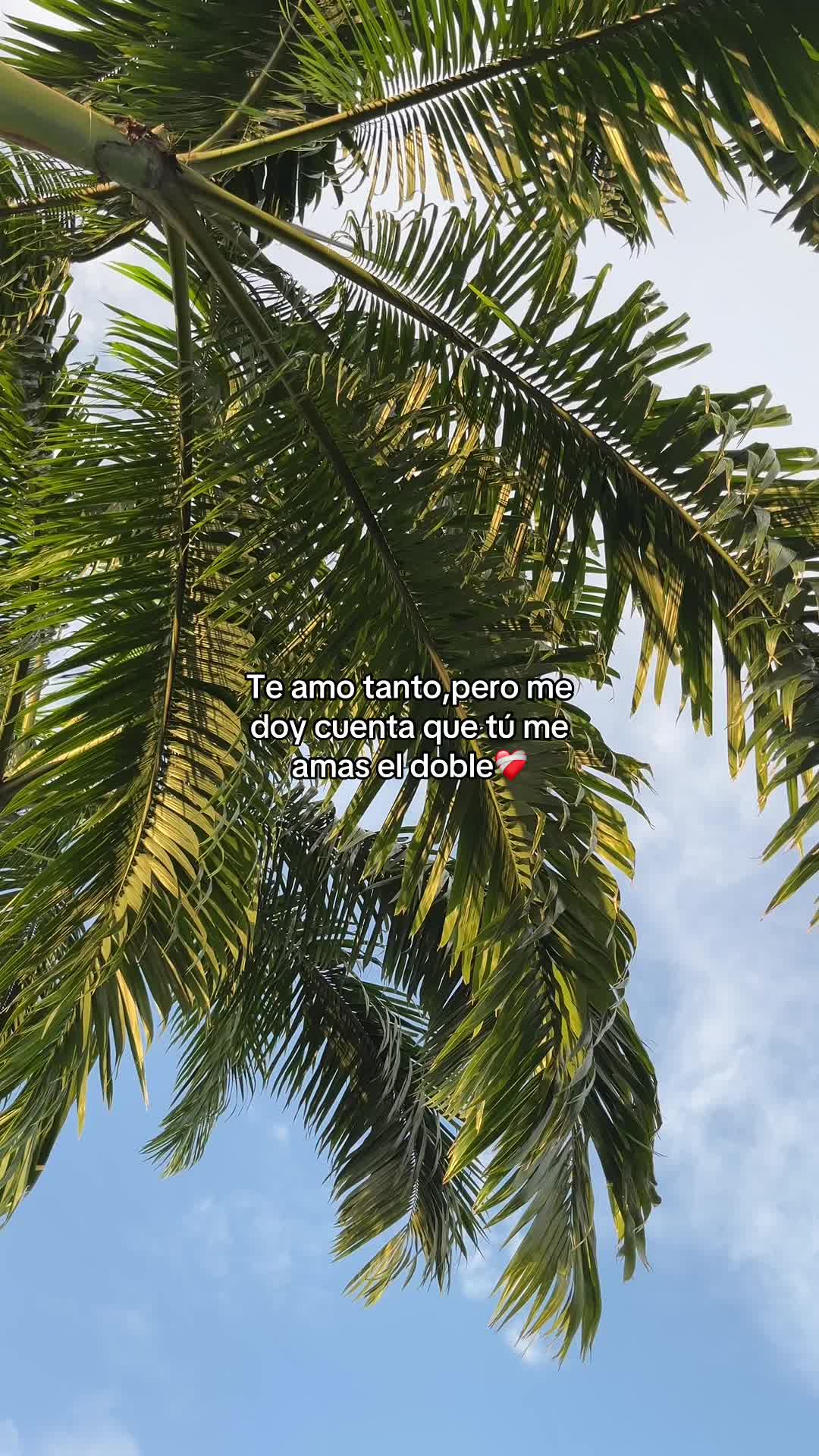 @Thays BG🦕