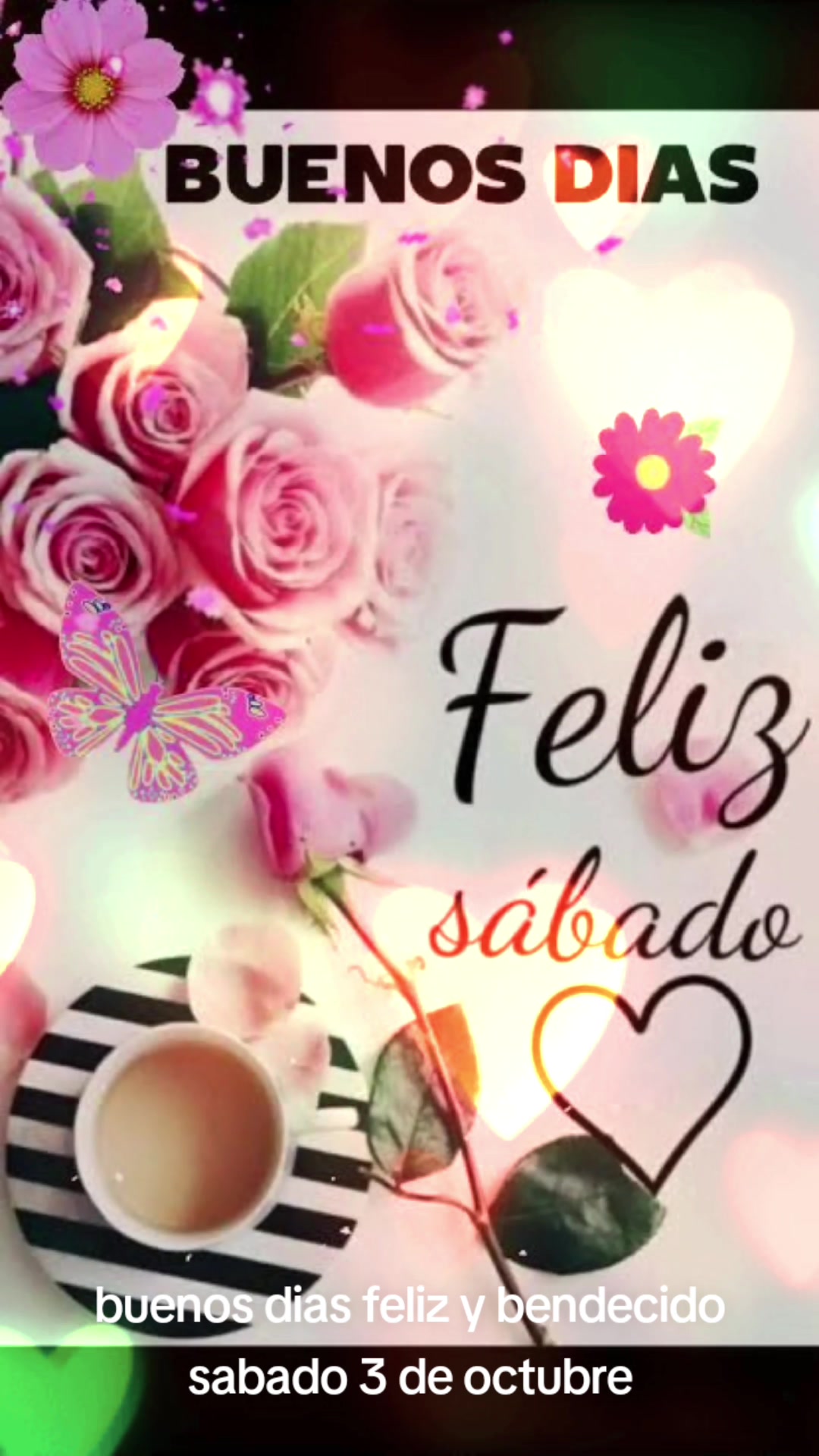 @❤😇🎤ANGEL-CAIDO🎤😇❤