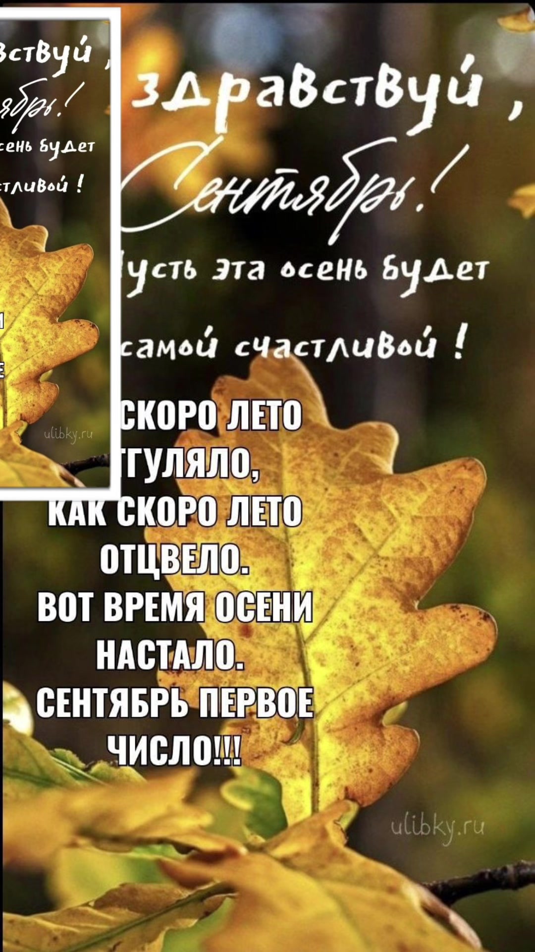 @🕊️❤️Надежда❤️🕊️