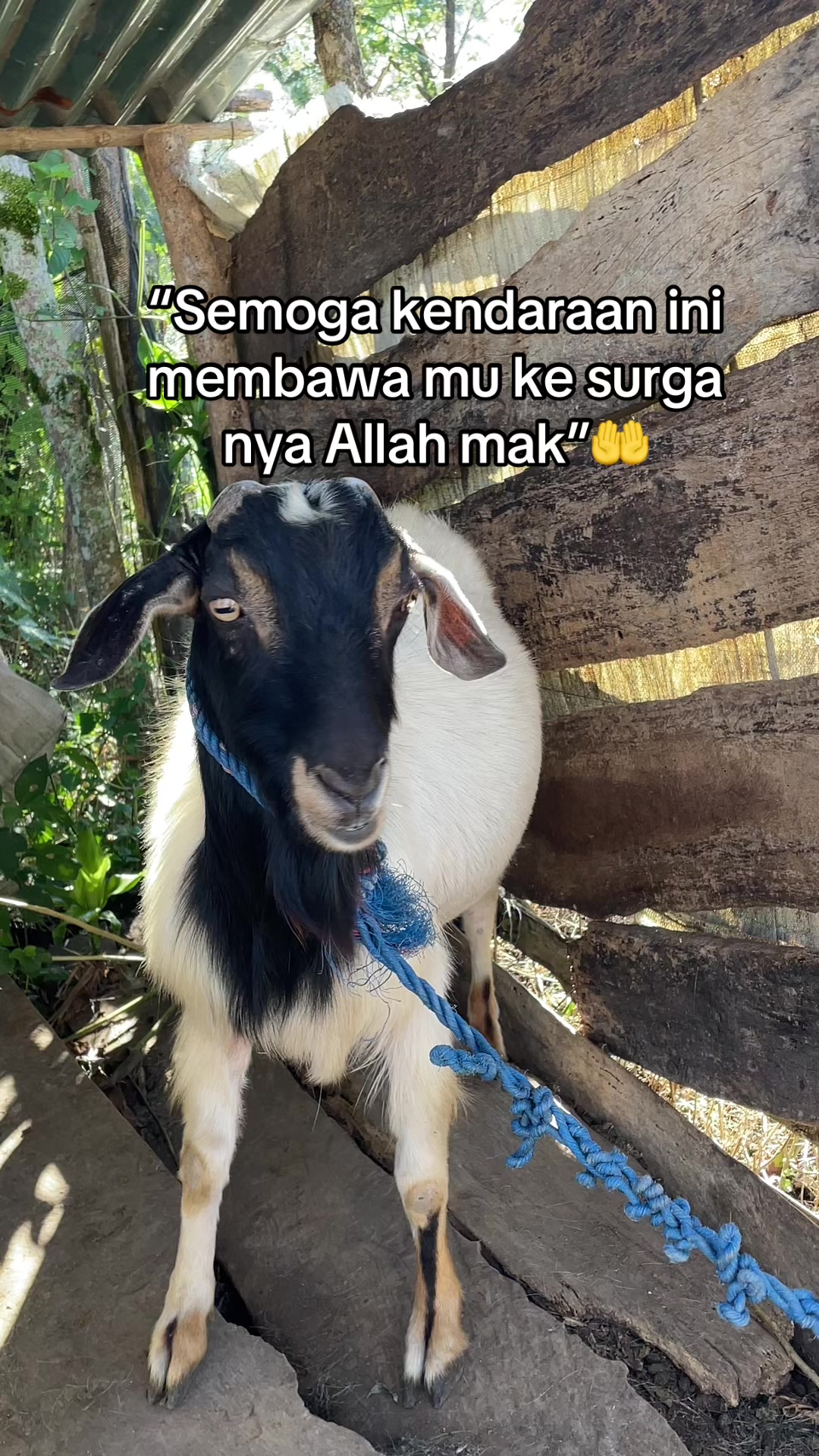 @della L Nya dua🦕