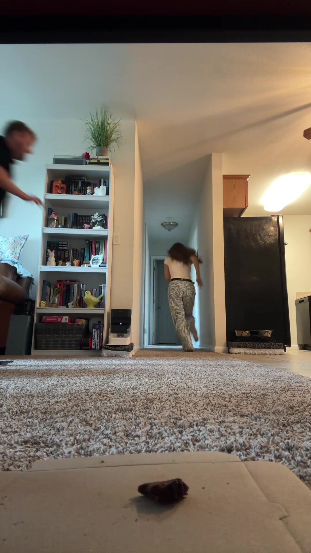 @catmking