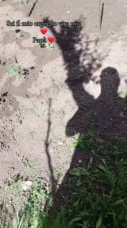 @Cate🌶️