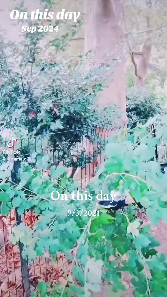 @🤲marianaeem1205🤲