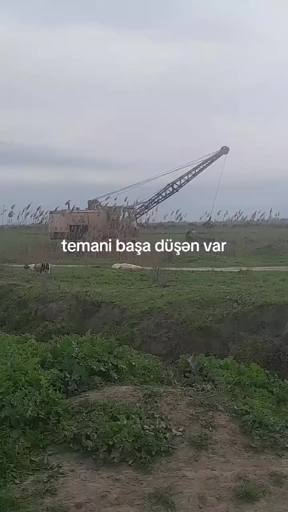 @@❉্᭄͜͡👑 NEFTÇALA 👑❉্᭄͜͡