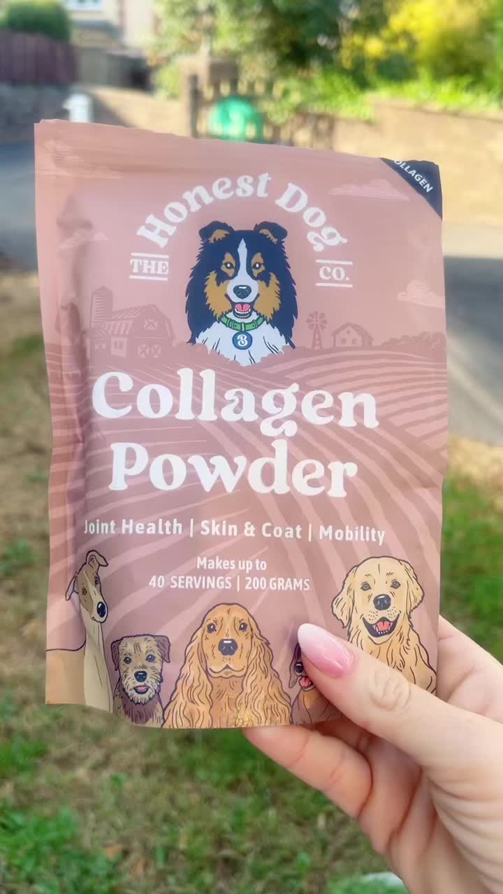 @Croesy Canine Services