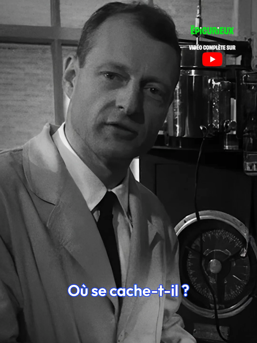 @Jamy - Epicurieux