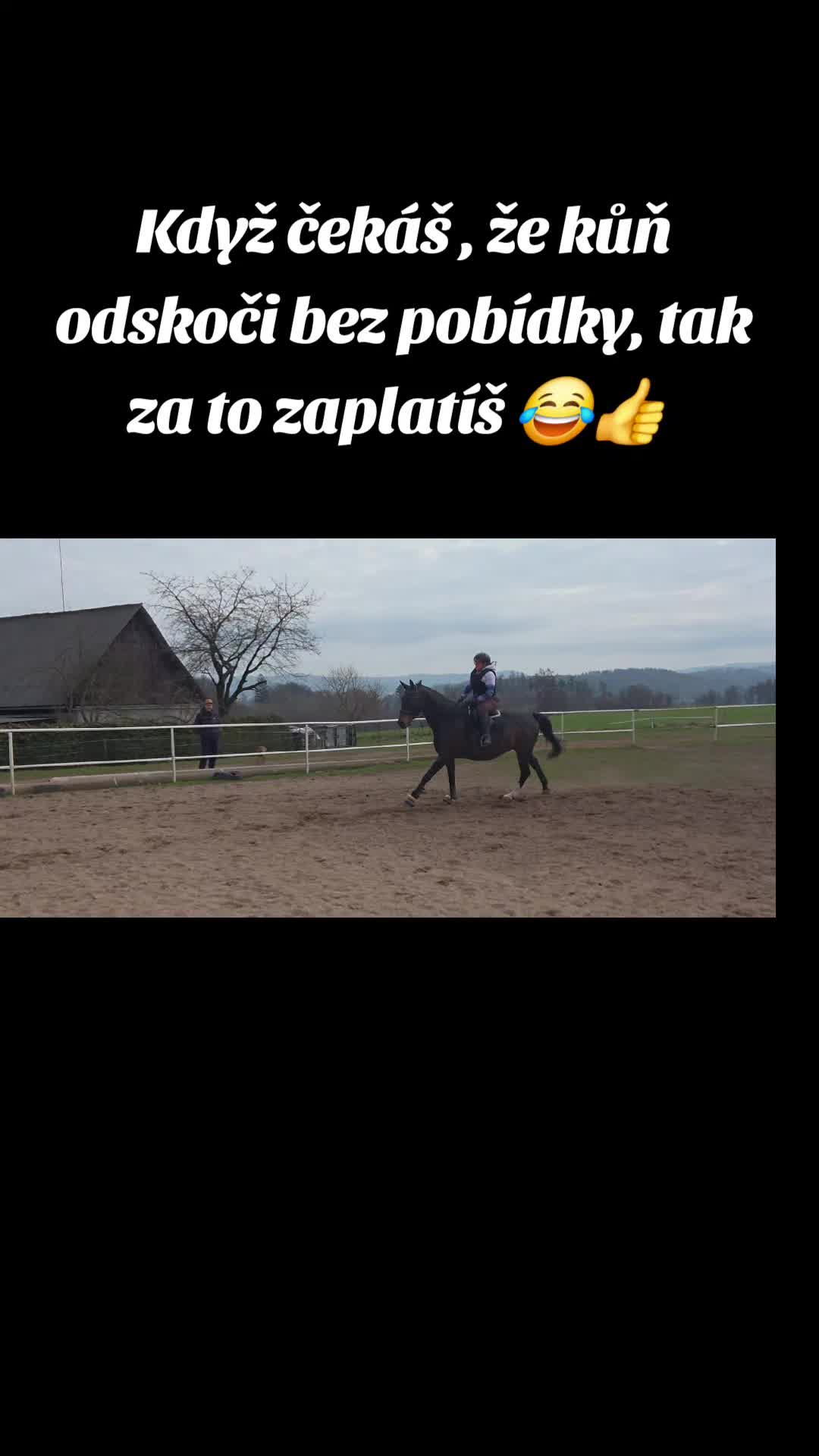 @Koňomama🩷🐴
