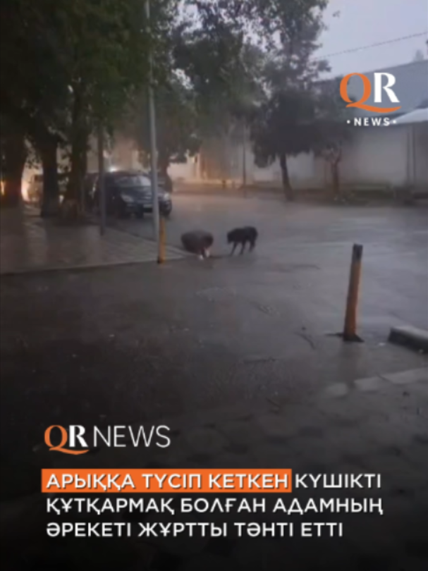 @QRNewskz