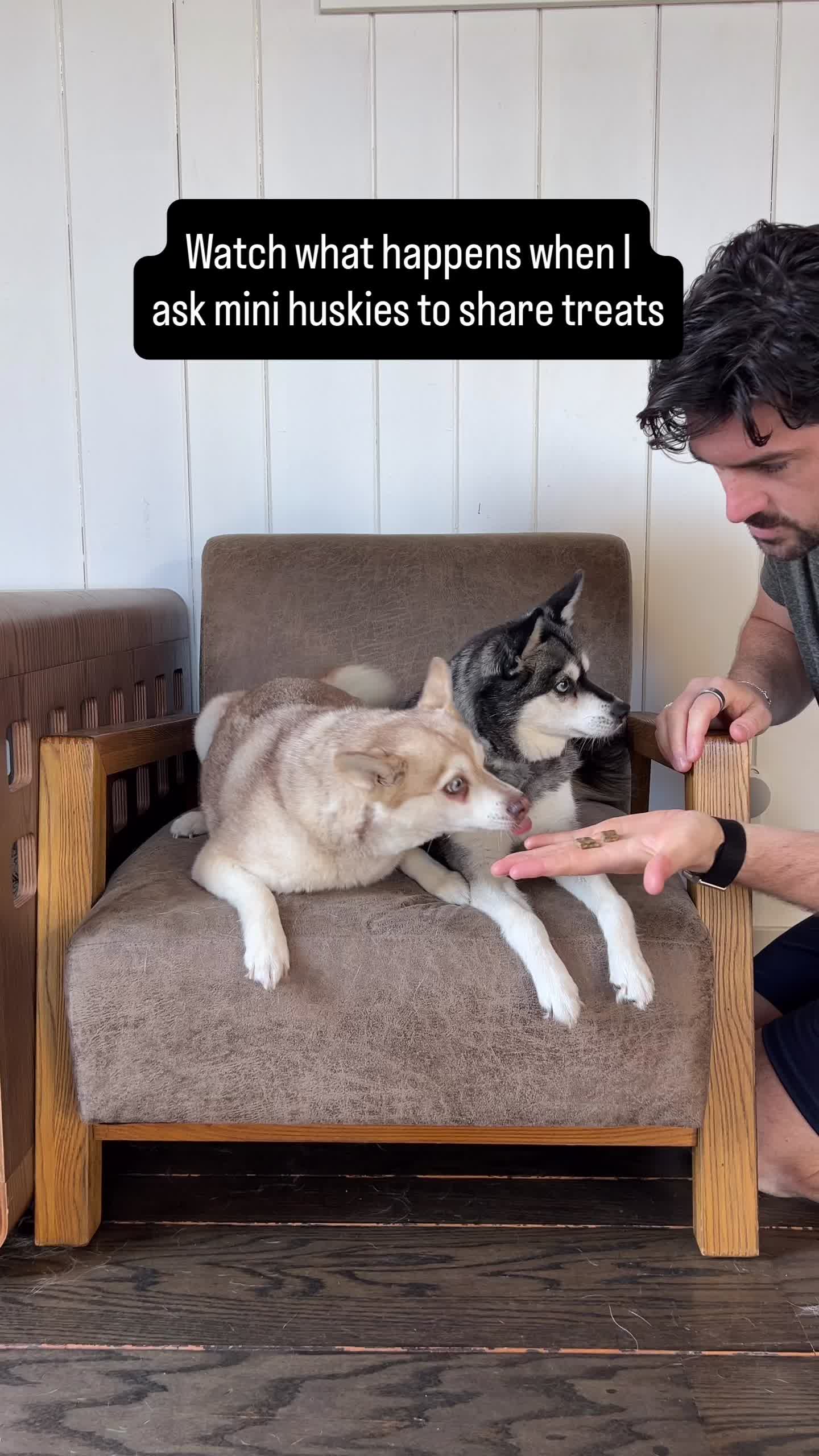 @lifewithkleekai