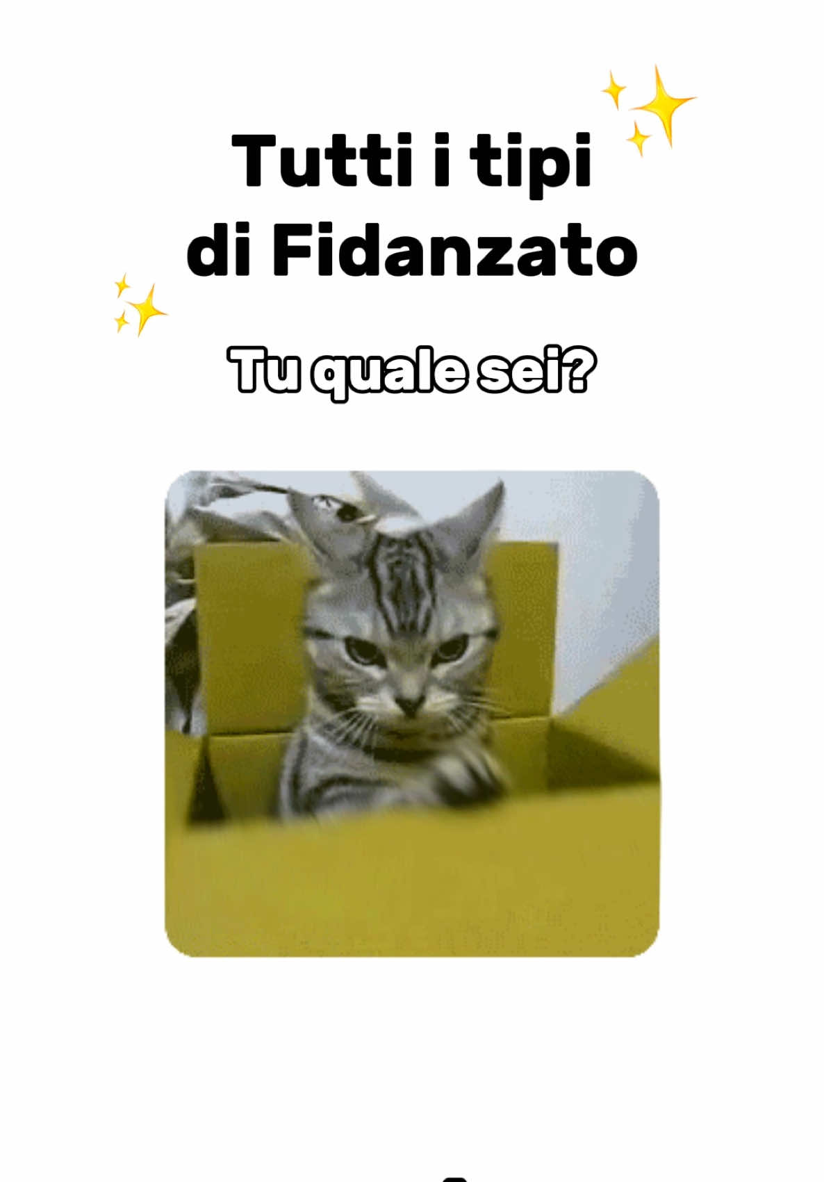 @Grattino😻