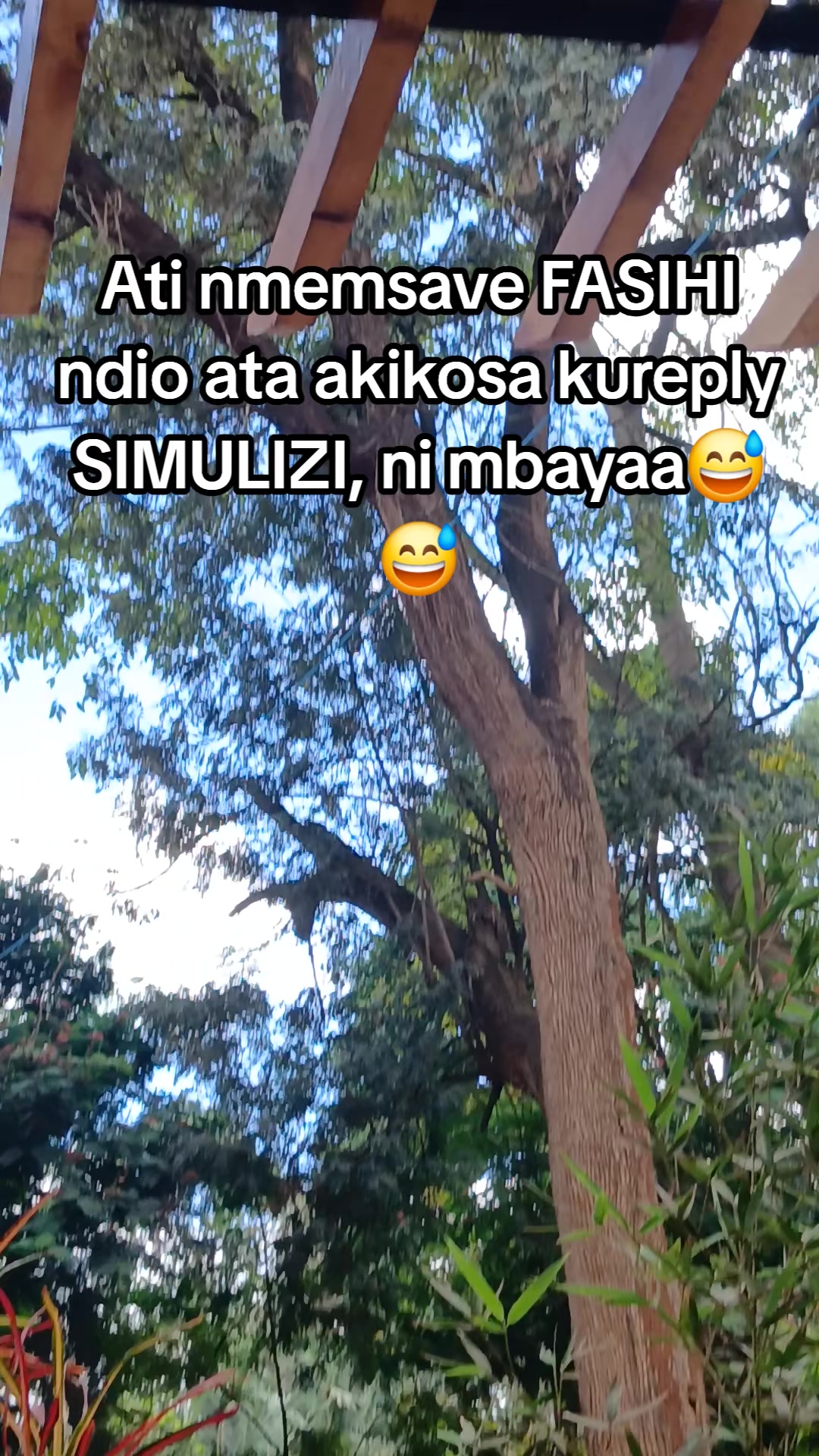 @mr_br&ouml;w&ntilde;052