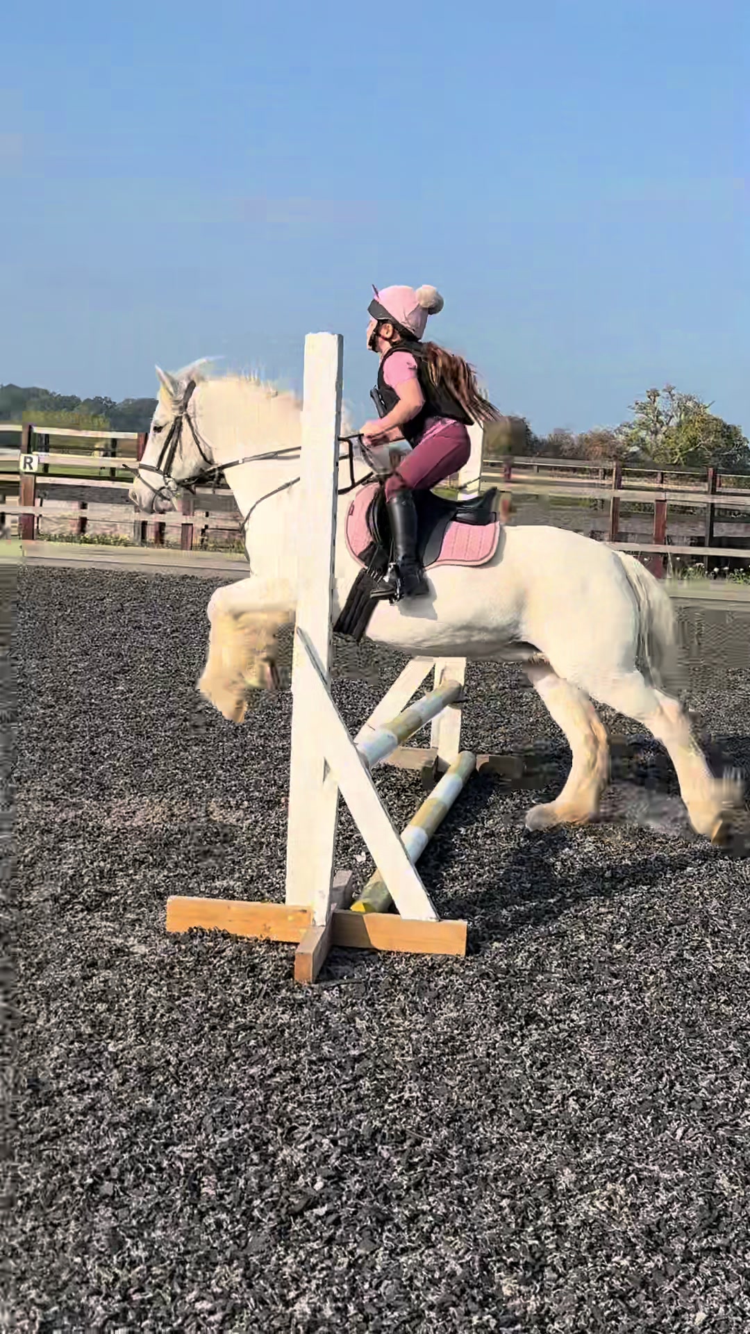 @Nellie-Kerr’s Riding Journey