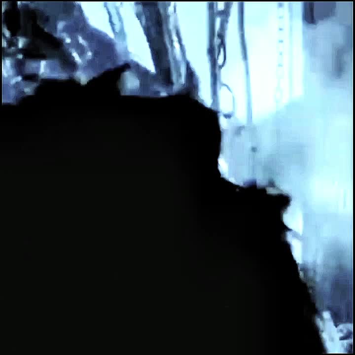 @𓃵𝔍𝔬𝔢𝔶 𝔧𝔬𝔯𝔡𝔦𝔰𝔬𝔫𓃵