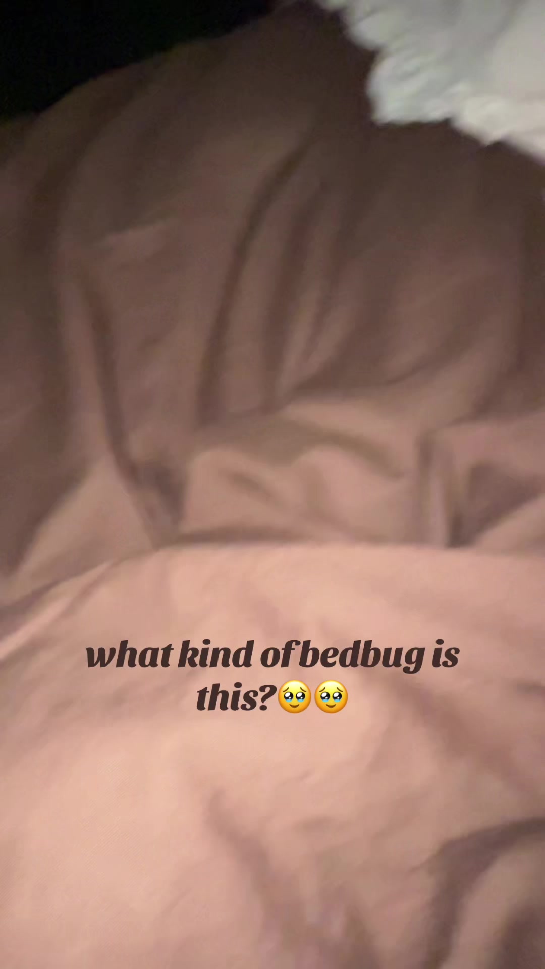 @Bella💕