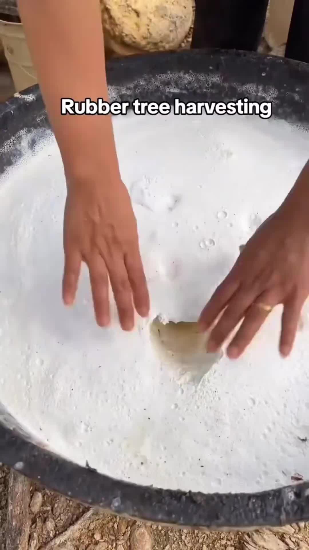@Jynx deLygh