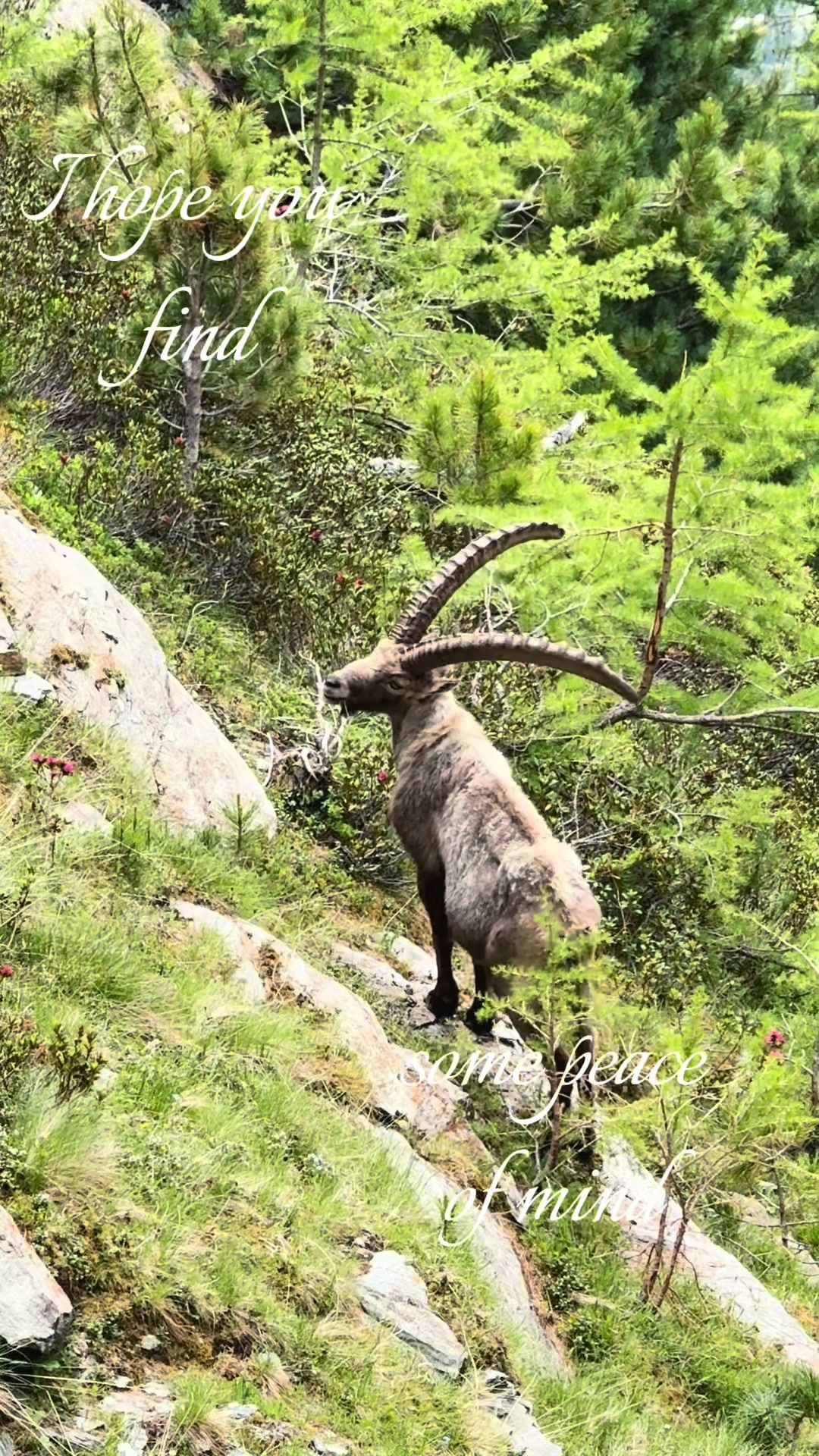 @𖦹lucy𖦹